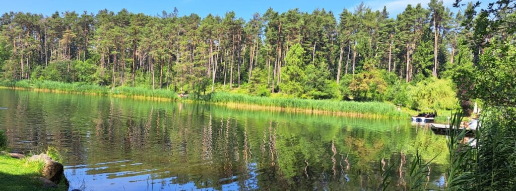 Kinesiologie - Corinne Gassmann