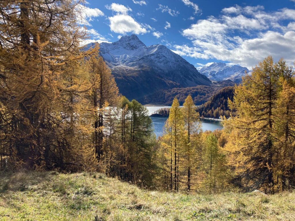 Kinesiologie - Corinne Gassmann