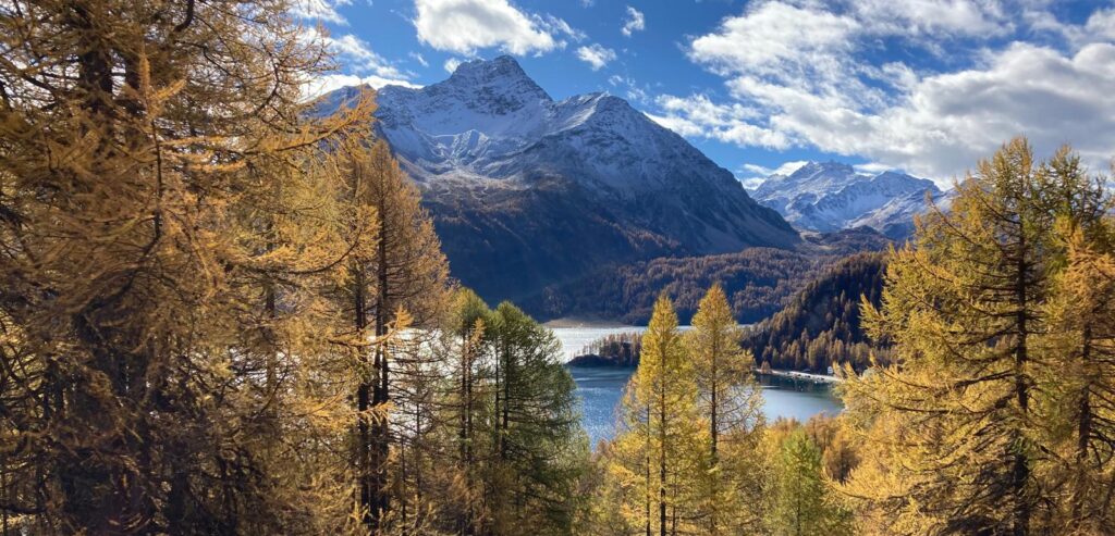 Kinesiologie - Corinne Gassmann