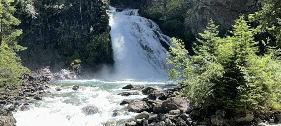 Kinesiologie - Corinne Gassmann